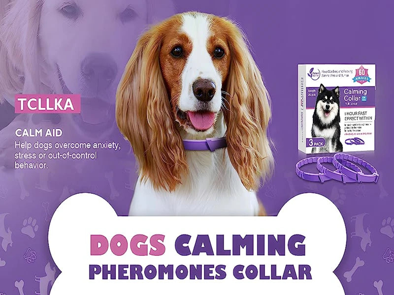 Calming Collar